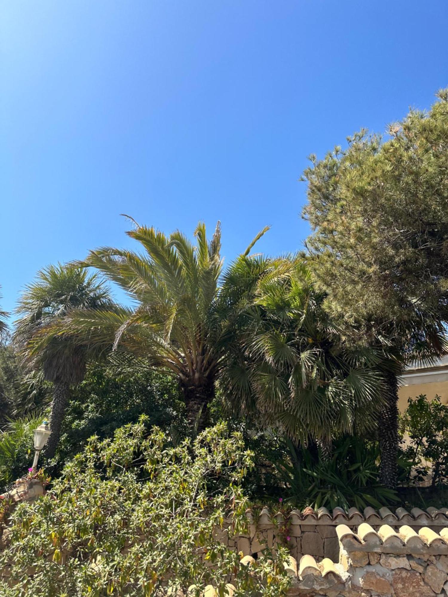 Appartamento Relax Casa Costa Blanka Santa Pola Esterno foto